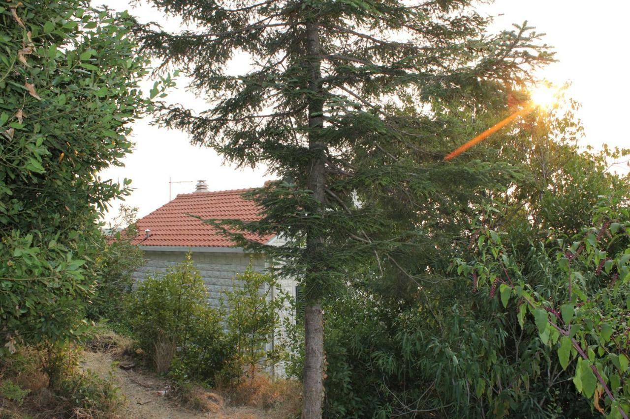I Sassi Bianchi - East Villa Cavtat Dış mekan fotoğraf